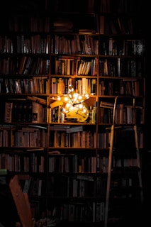 photography of bookshelf and star LED light decor