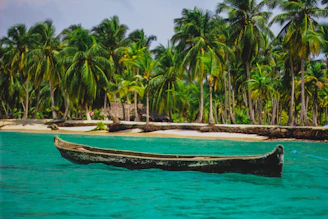 black canoe on body of water