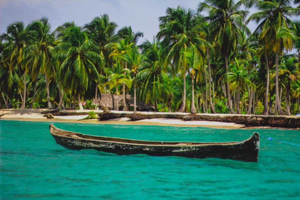 canoa negra en el cuerpo de agua