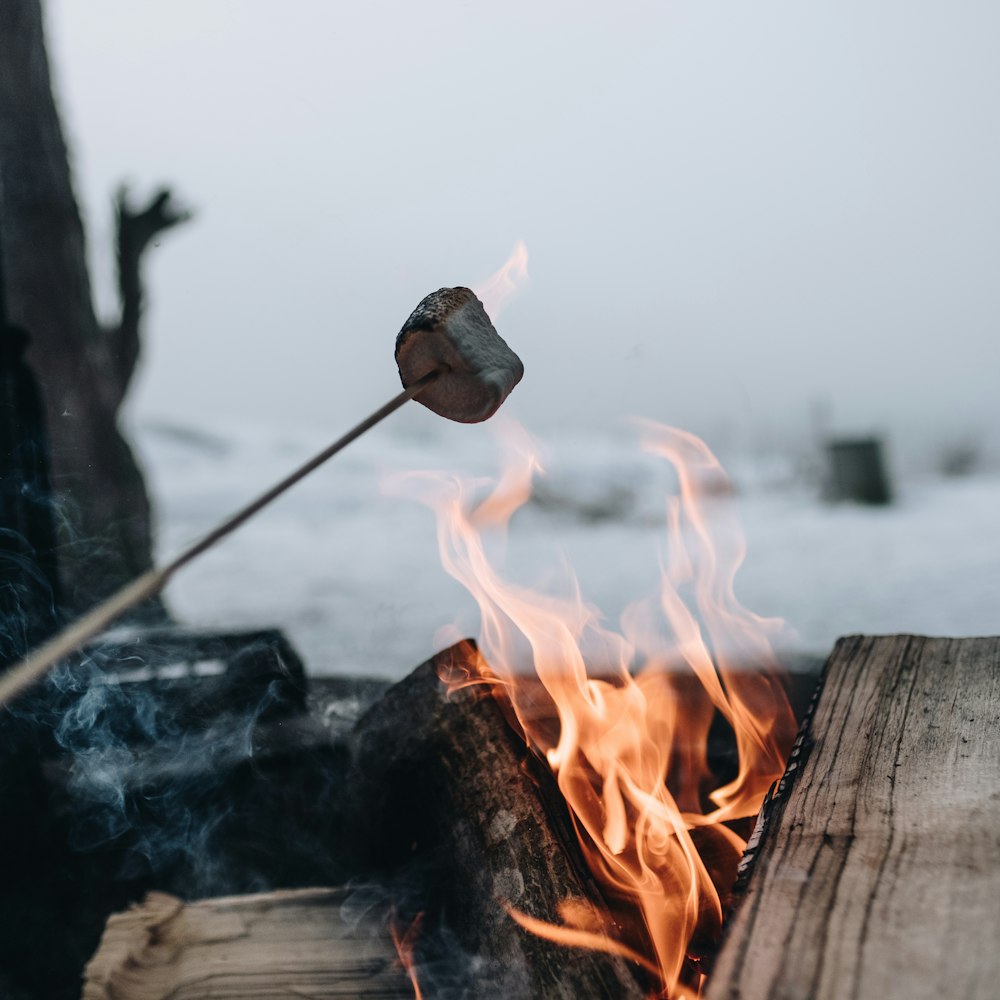 focus photo of grilled marshmallow on fire