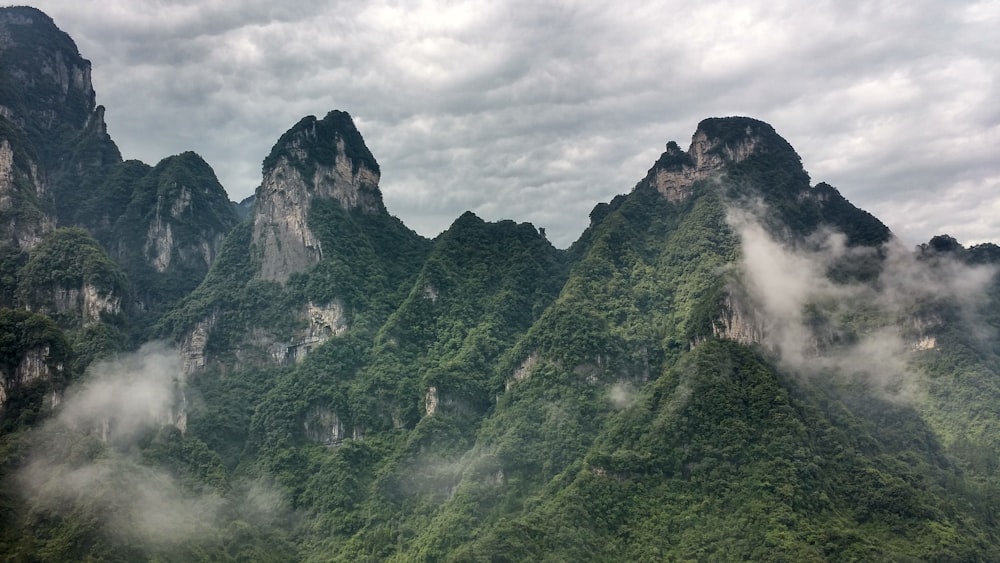 green plant covered mountains
