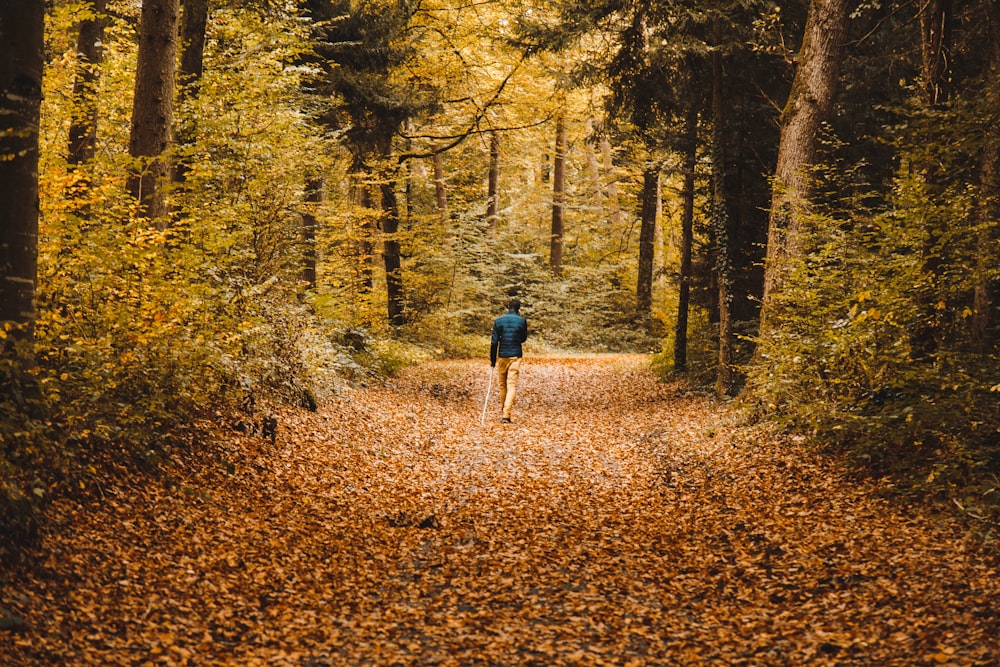 homme marchant dans la forêt
