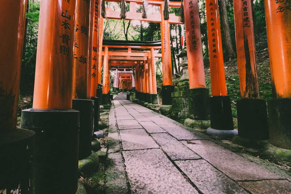 Torii Gate pathway beside trees at daytime