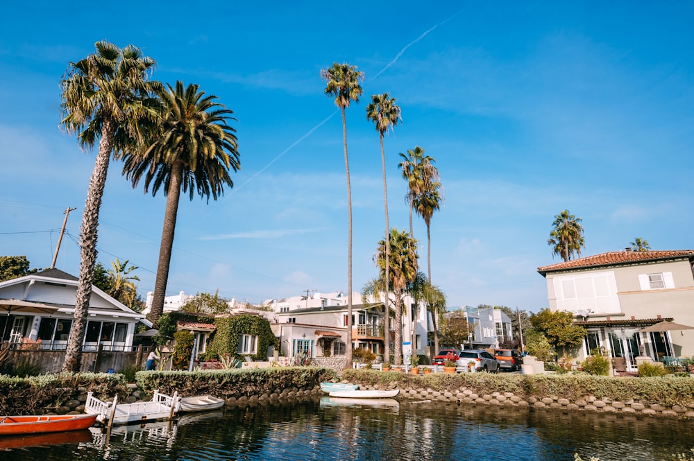 houses near body of water under blue sky at daytime