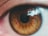 A close-up image of a human eye, showcasing intricate details of the iris with shades of brown and hints of green. The lighting highlights the texture of the iris and the reflection on the cornea.