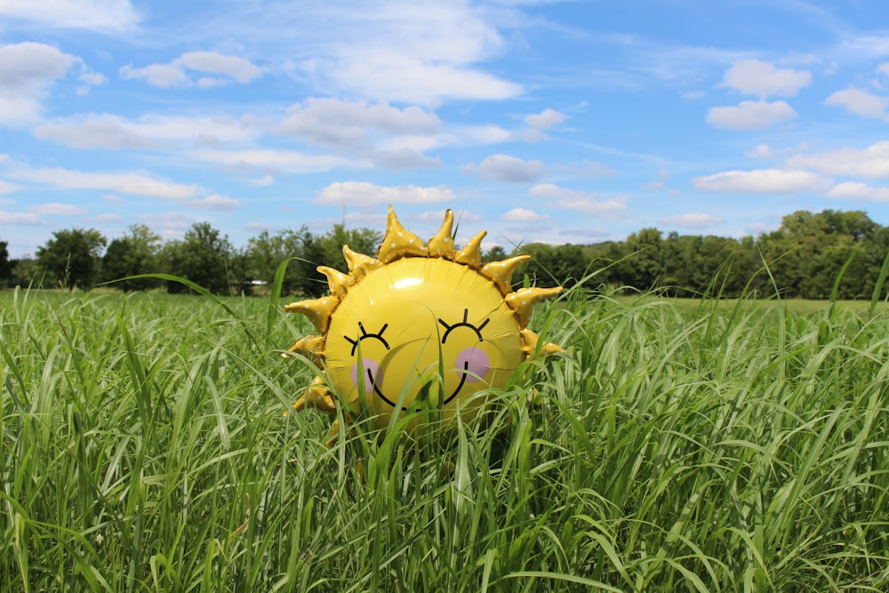 Sole gonfiabile giallo al campo dell'erba