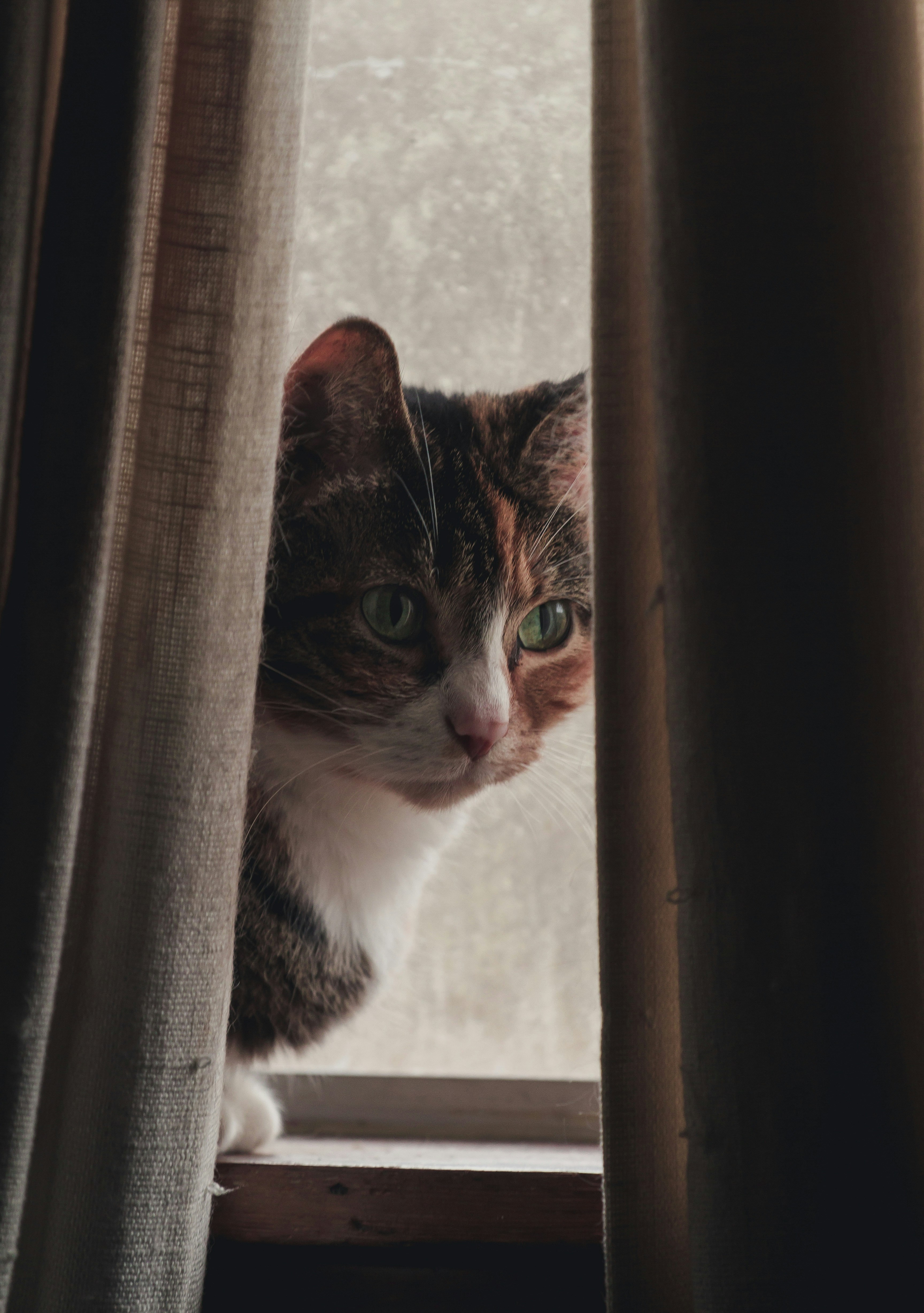 photo-1517171257036-143a6cf4f704?ixlib=rb-1.2.1&ixid=eyJhcHBfaWQiOjEyMDd9&auto=format&fit=crop&w=953&q=80