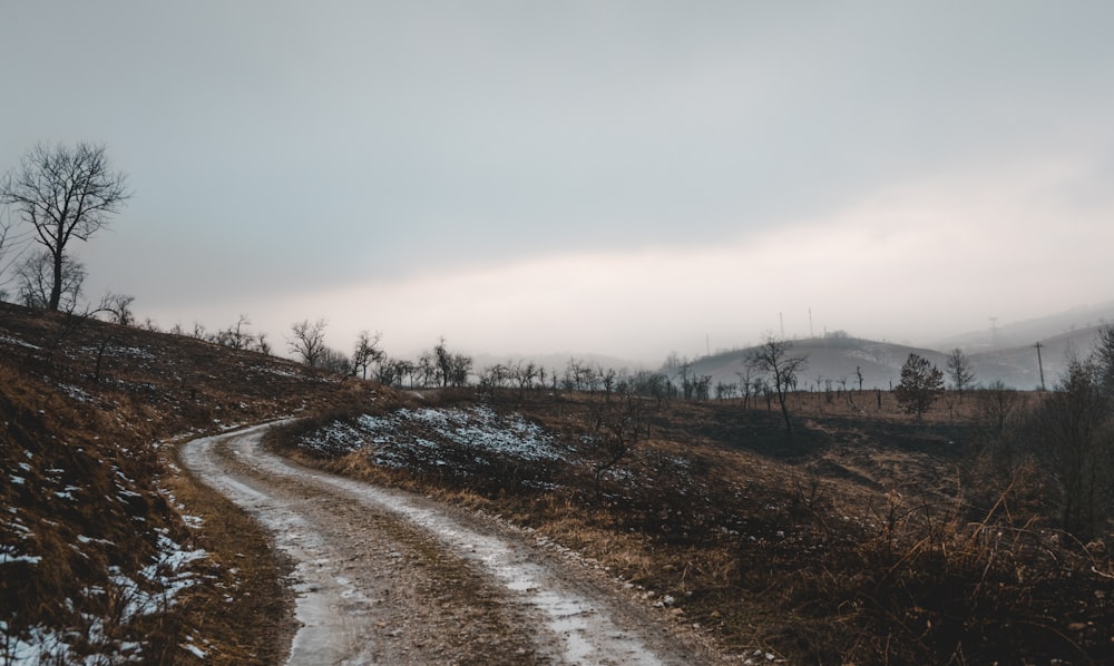 pathway of soil