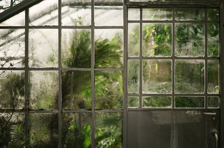 Can a Greenhouse Be Used Throughout the Winter?