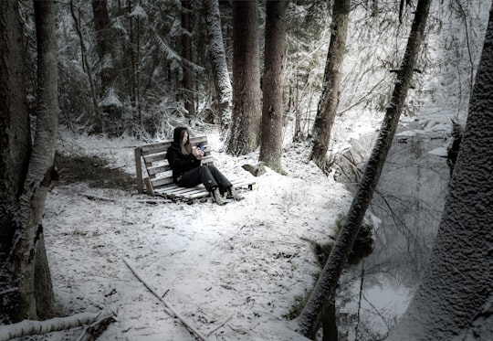 photo of Nesodden Forest near Astrup Fearnley Museum of Modern Art