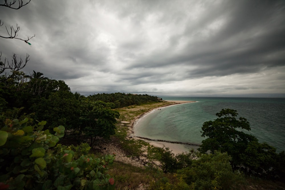 beach near forests under gray clouds during daytime