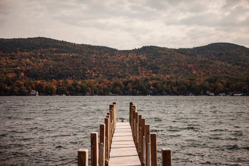 brown wooden dock in front of mountain