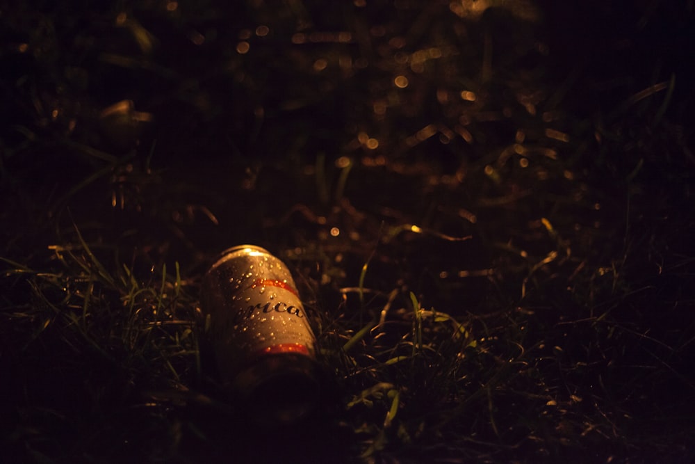 gray and red beverage can on grasses
