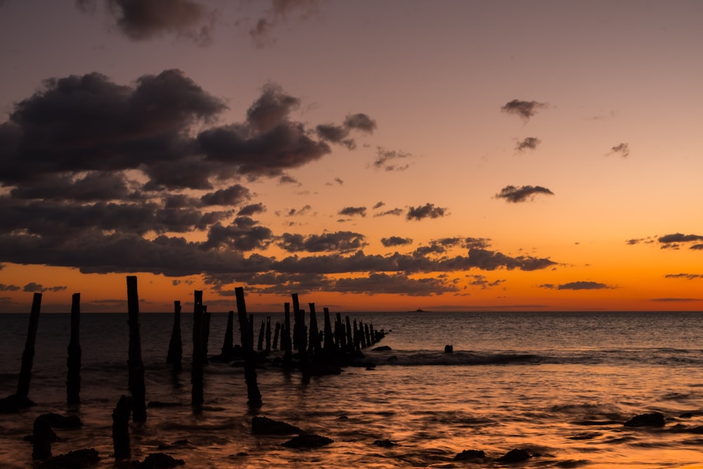 brown wooden dock near body of water during sunset