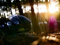 Close-up of a motorcycle helmet resting on a lush green forest trail.