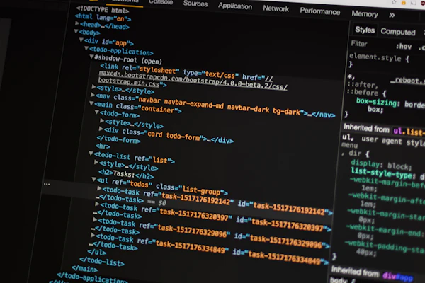 Identity and web design case study