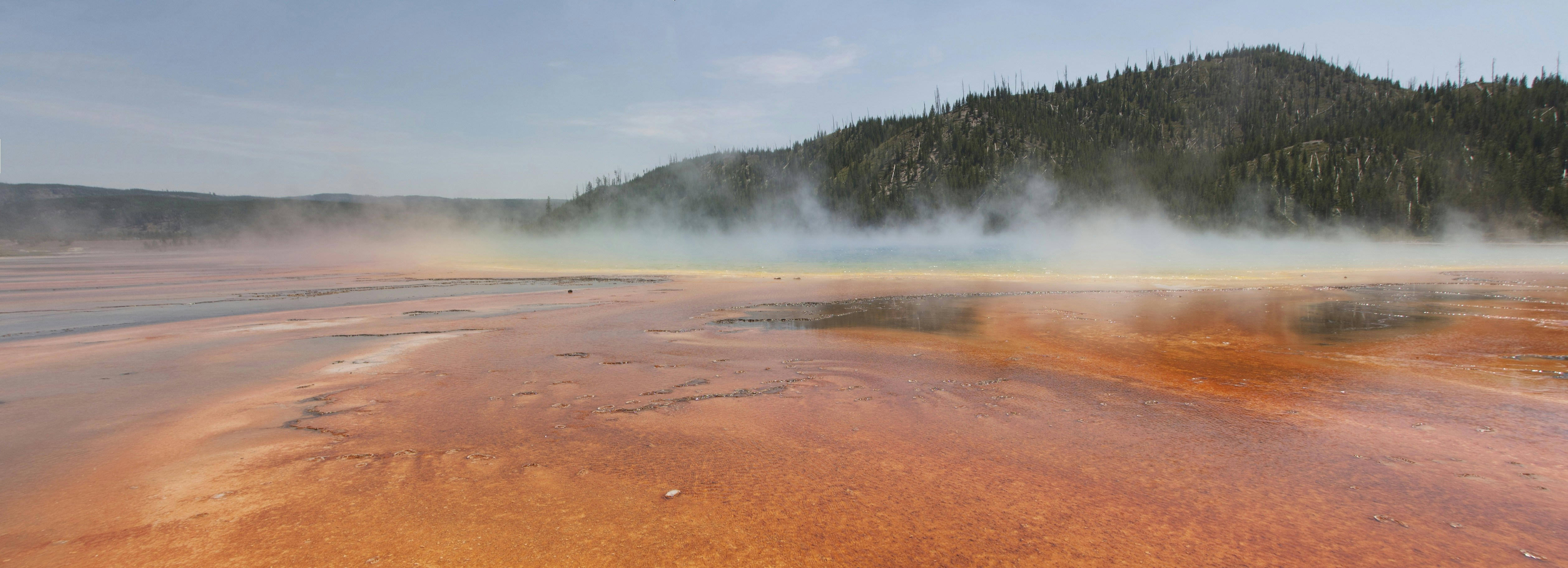 Termas con vapor natural en bosque patagónico