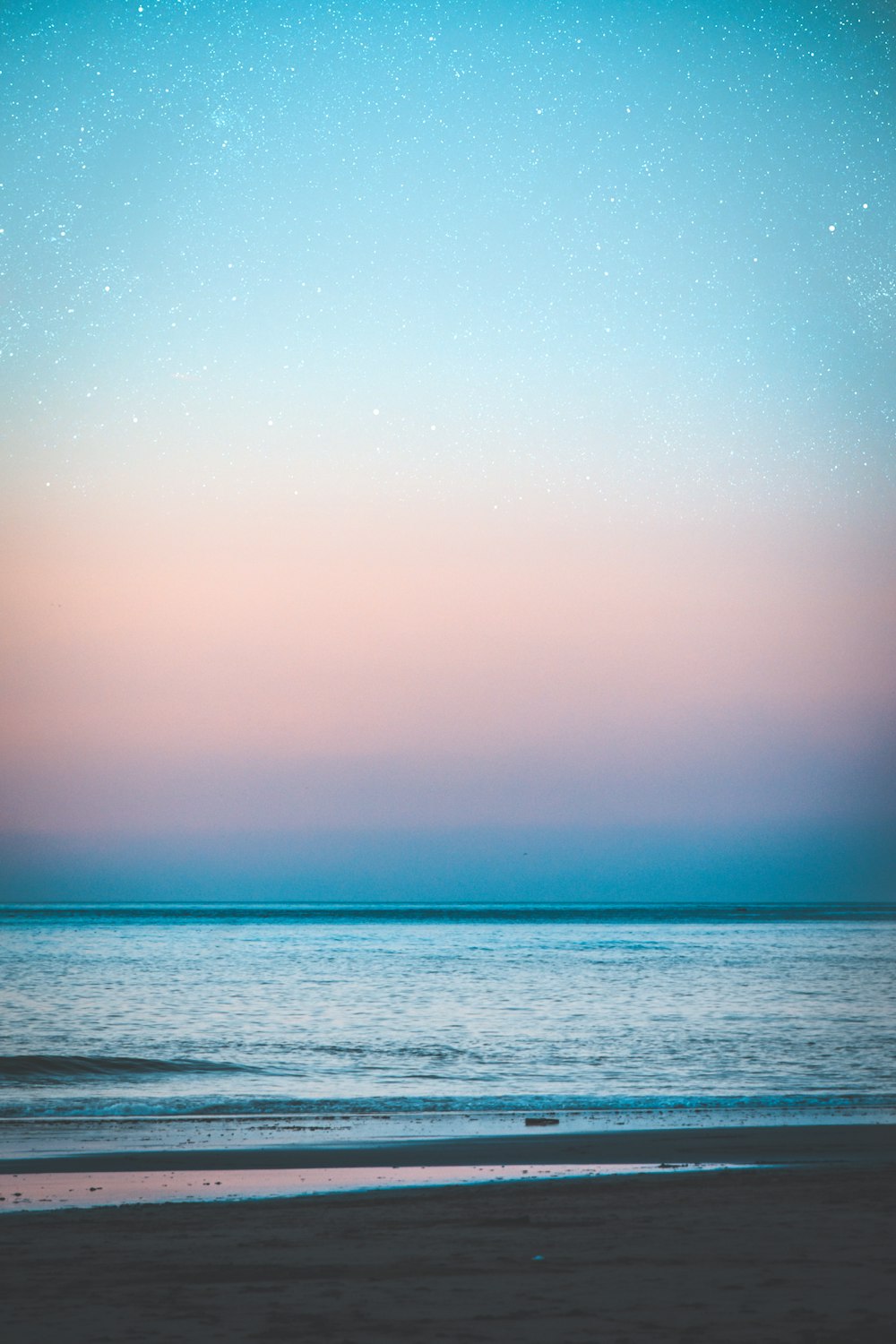 beach under starry skies at nighttime