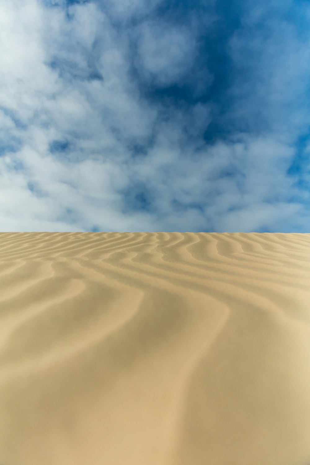 terrain désertique pendant la journée