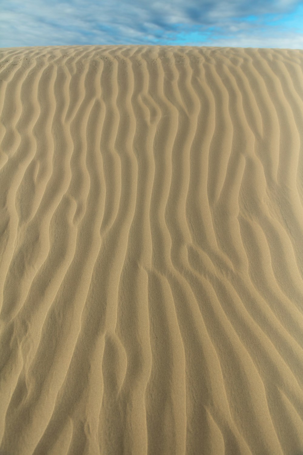 Fotografía de paisaje del desierto