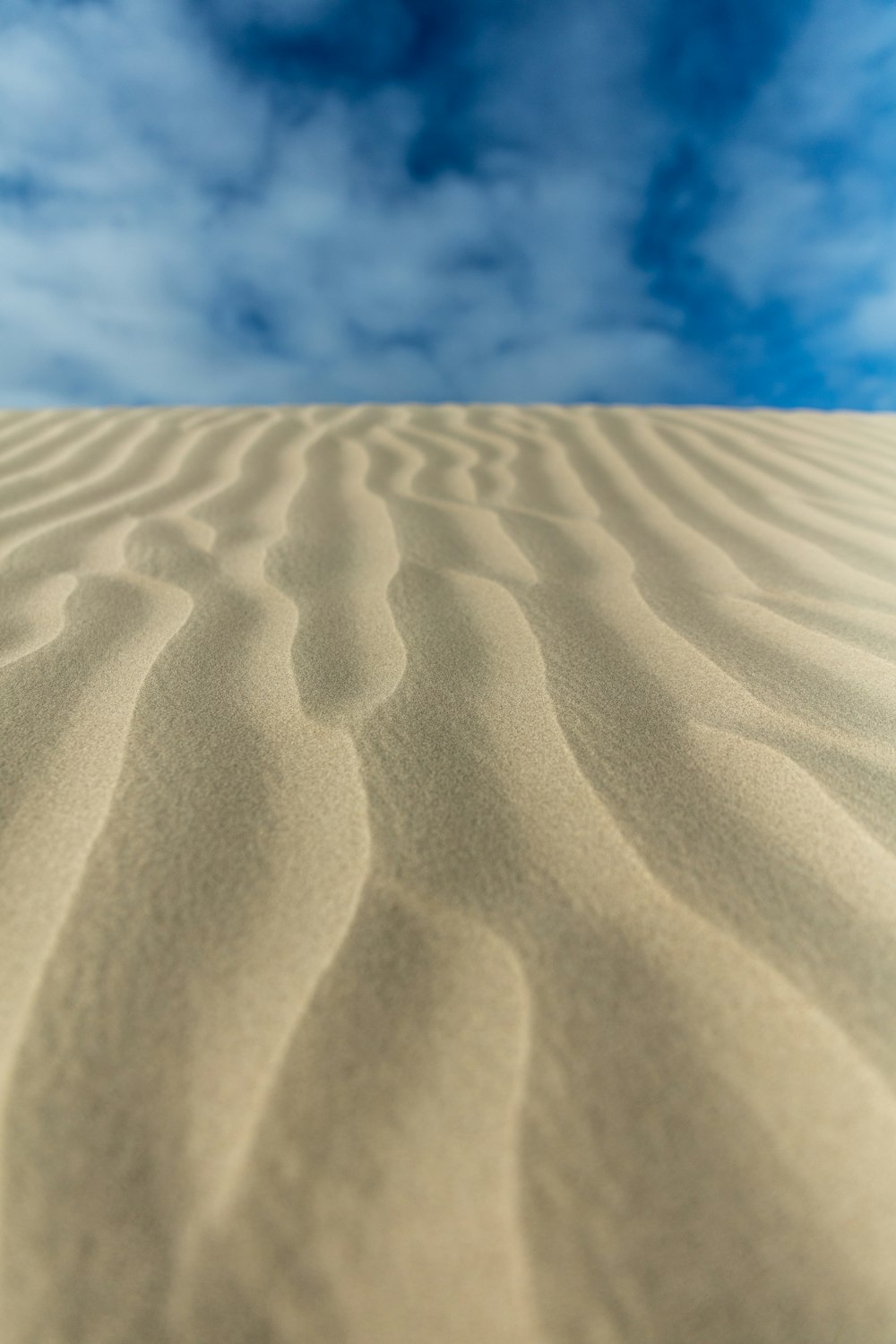 areia marrom durante o dia