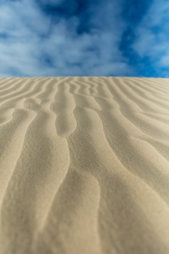 brown sand at daytime in Little Sahara National Recreation Area United States
