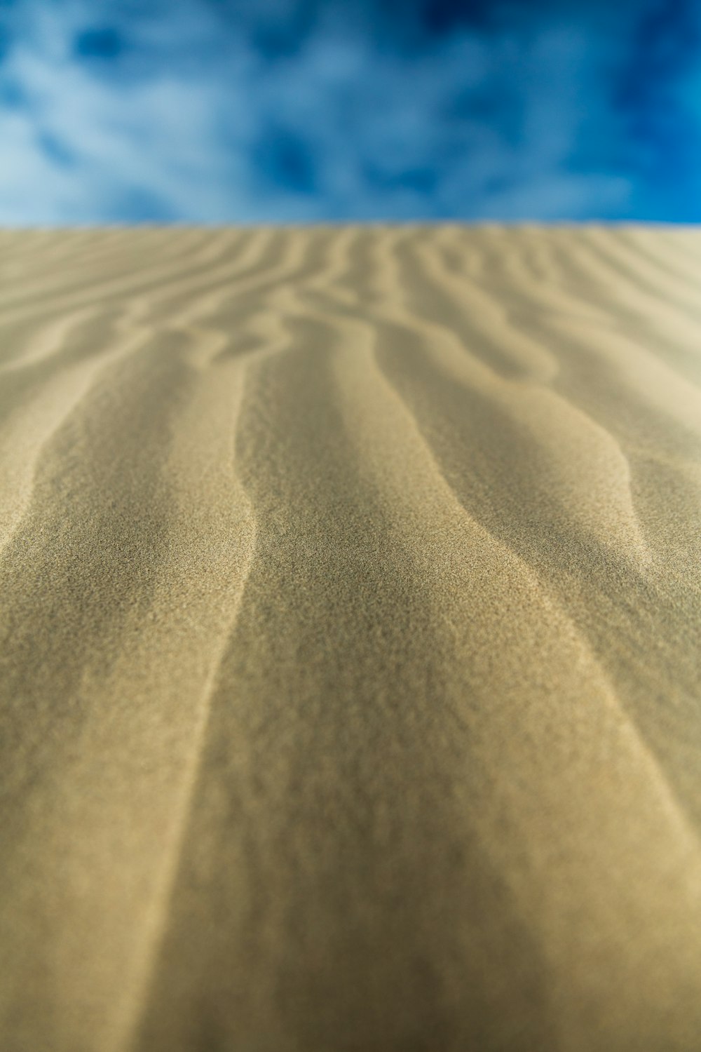 focus photo of brown sand