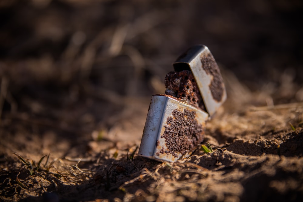 silver rectangular ornament on brown soil