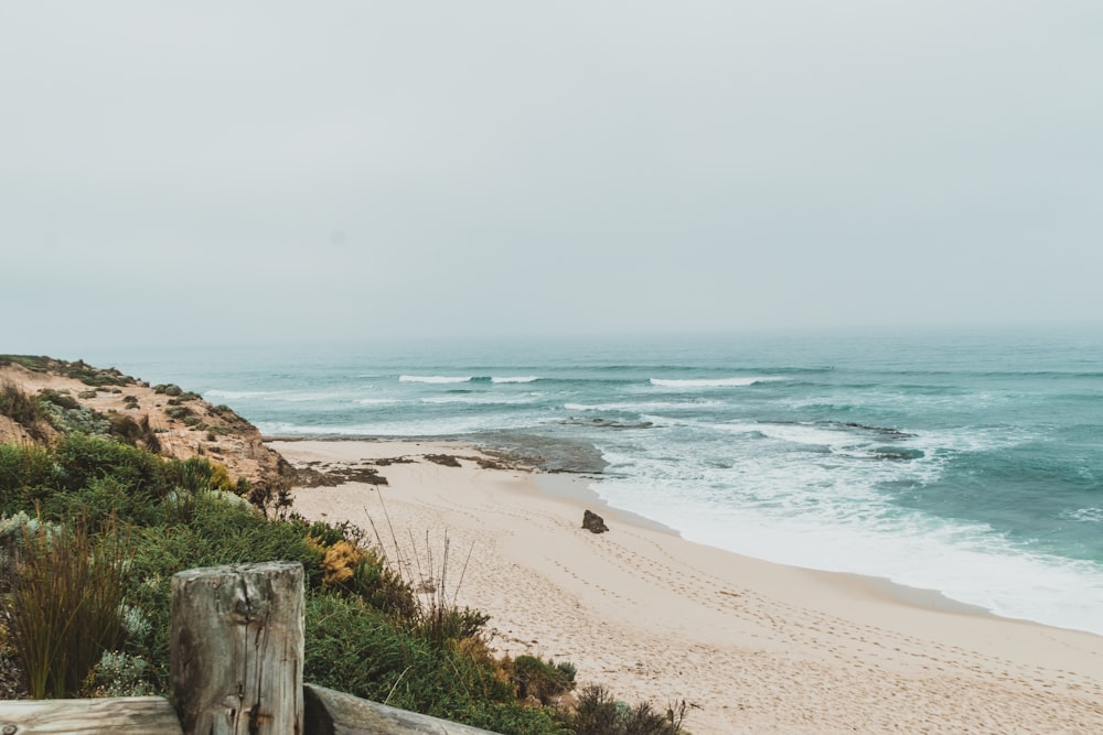 seashore during daytime