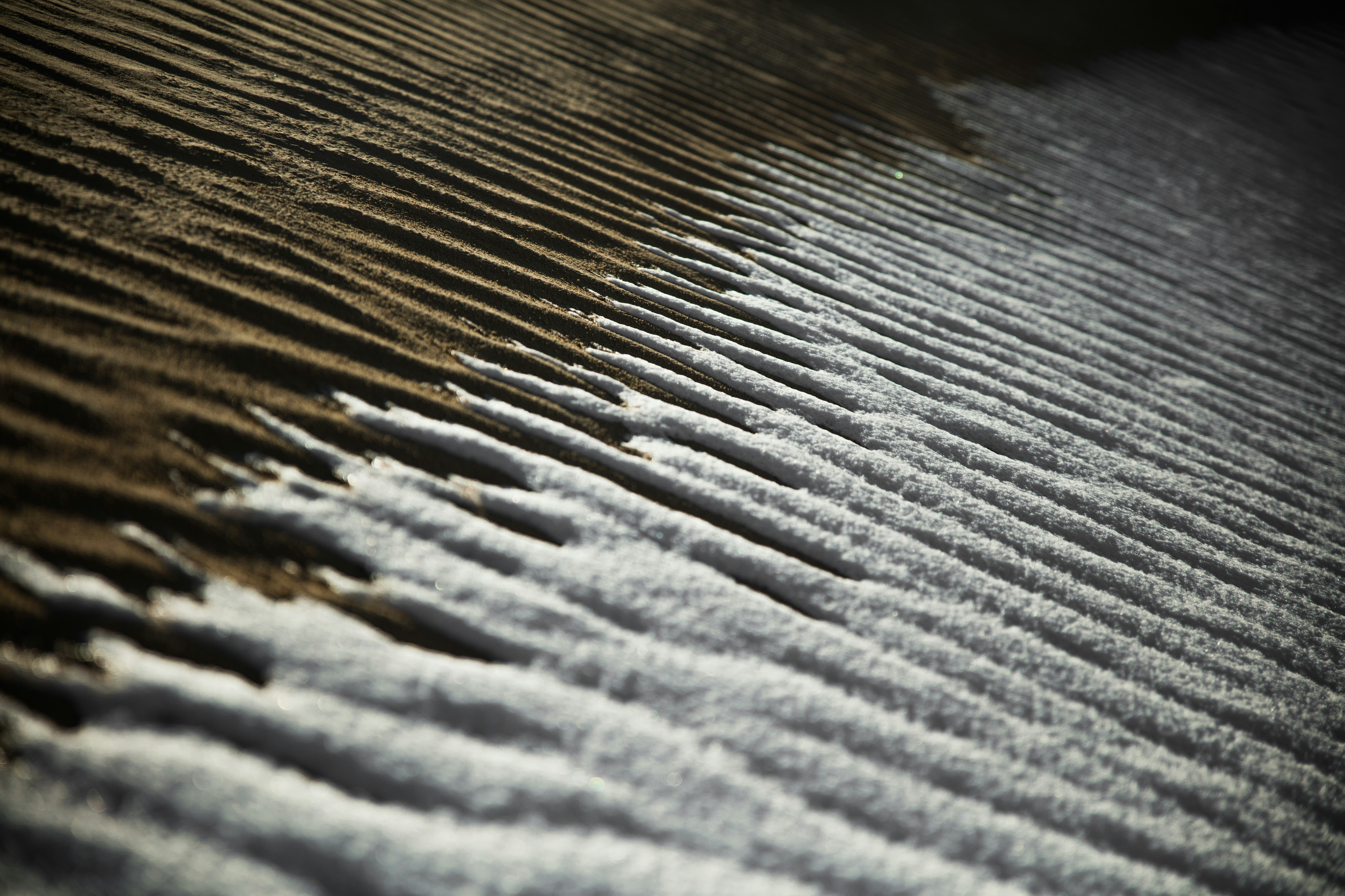 Photo by worldsbetweenlines