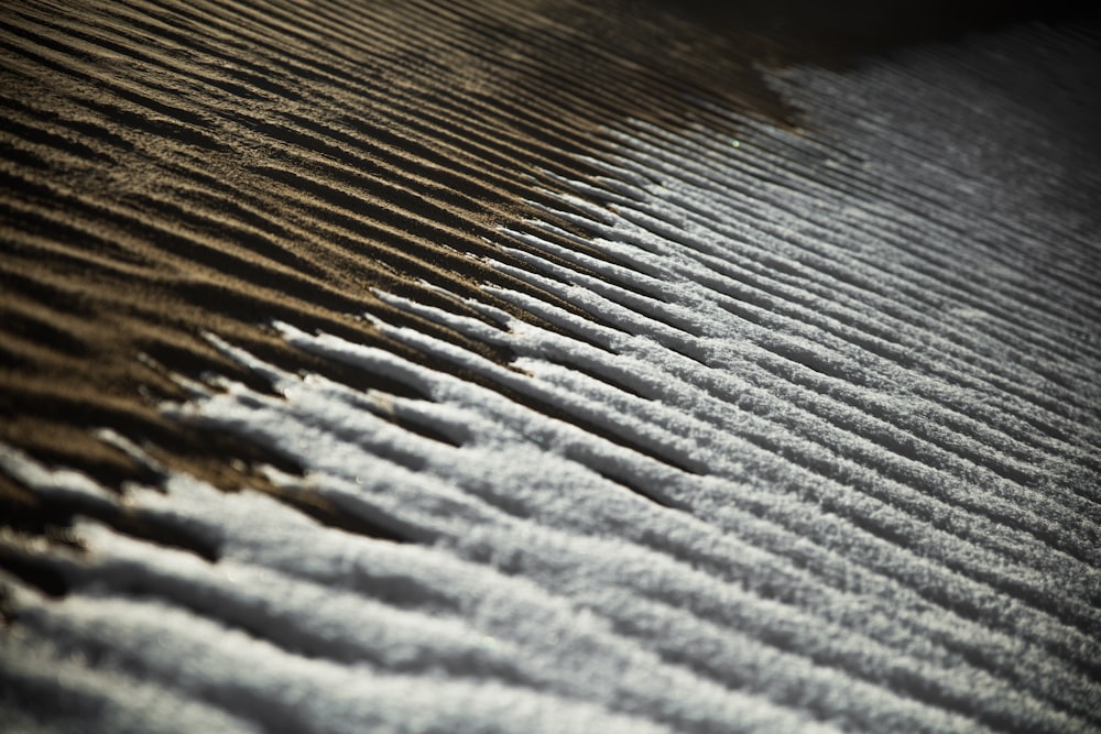 a close up view of a sand dune