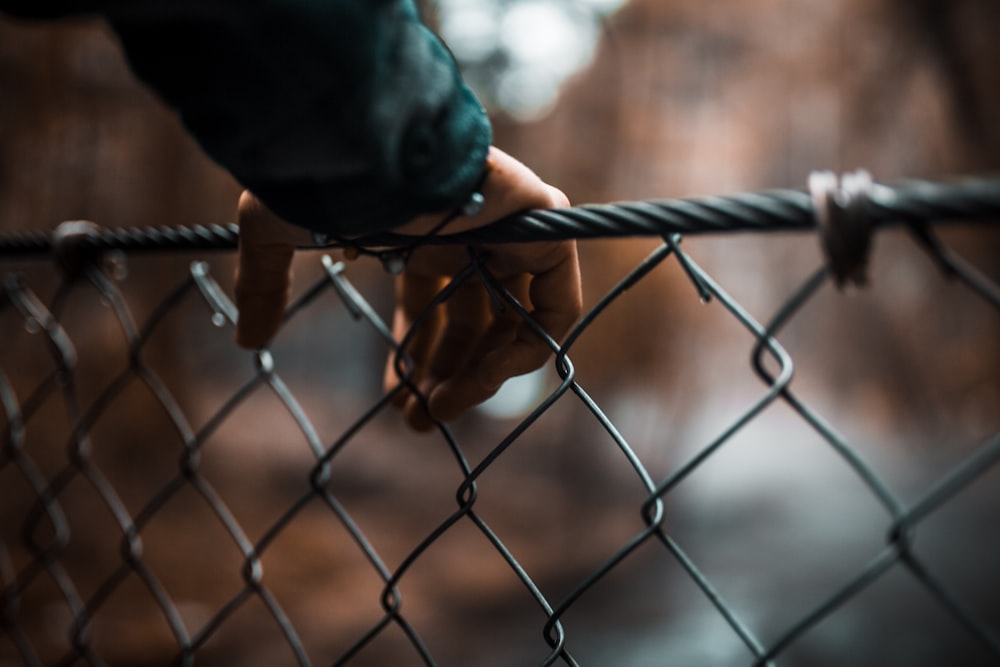 selective focus photography of person holding mesh fence