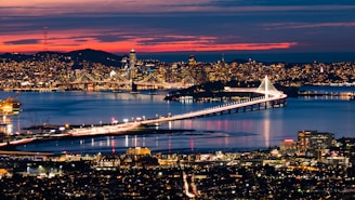 Erasmusbrug, Rotterdam during nighttime