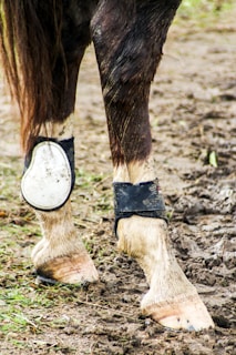 The green Hoofjack placed on a stable floor, highlighting its user-friendly height and grip.