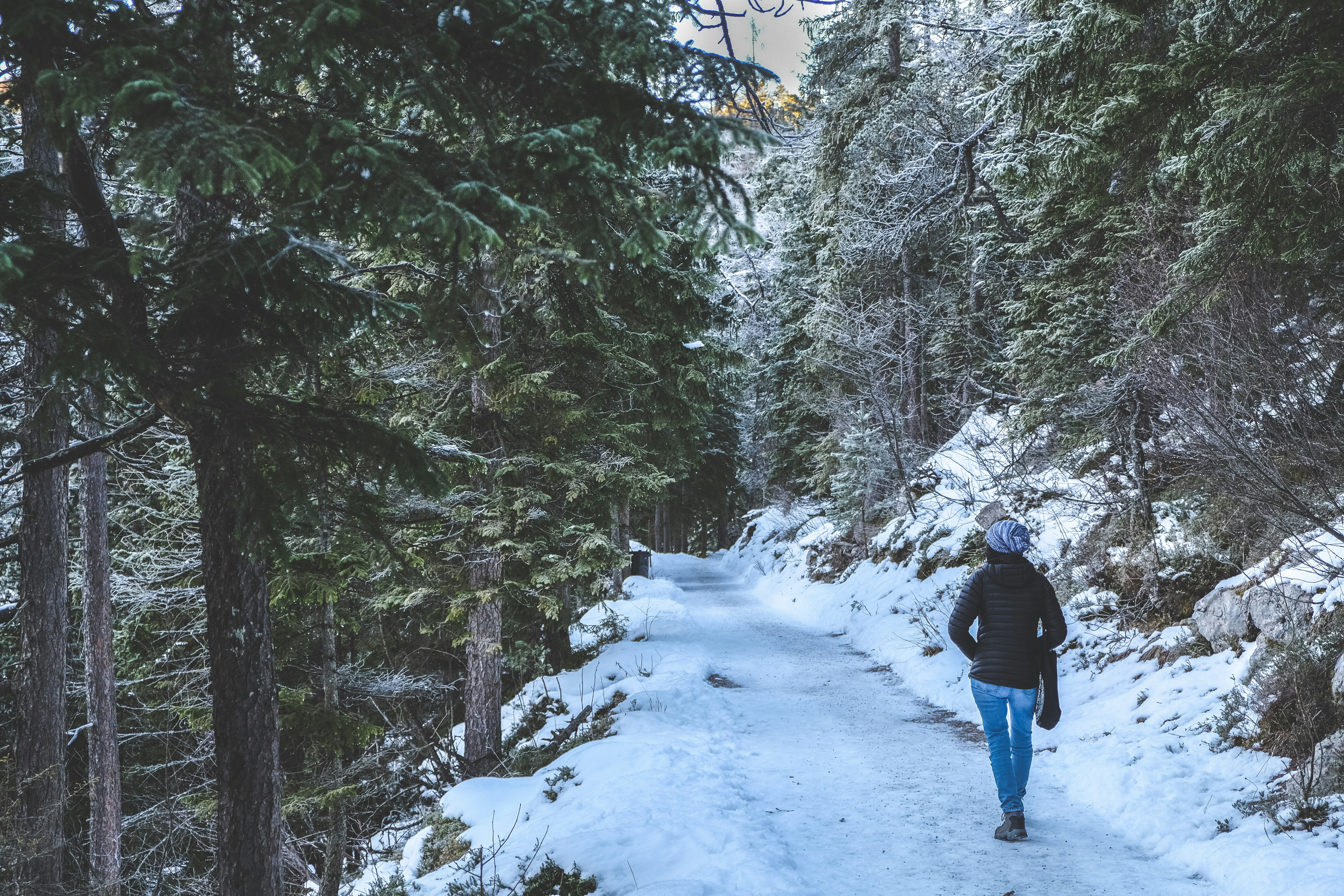 Photo by dan__burton