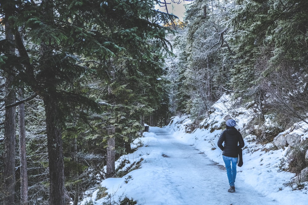 person walking on trail with snow between trees