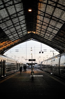 people walking beside gray train
