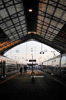 people walking beside gray train