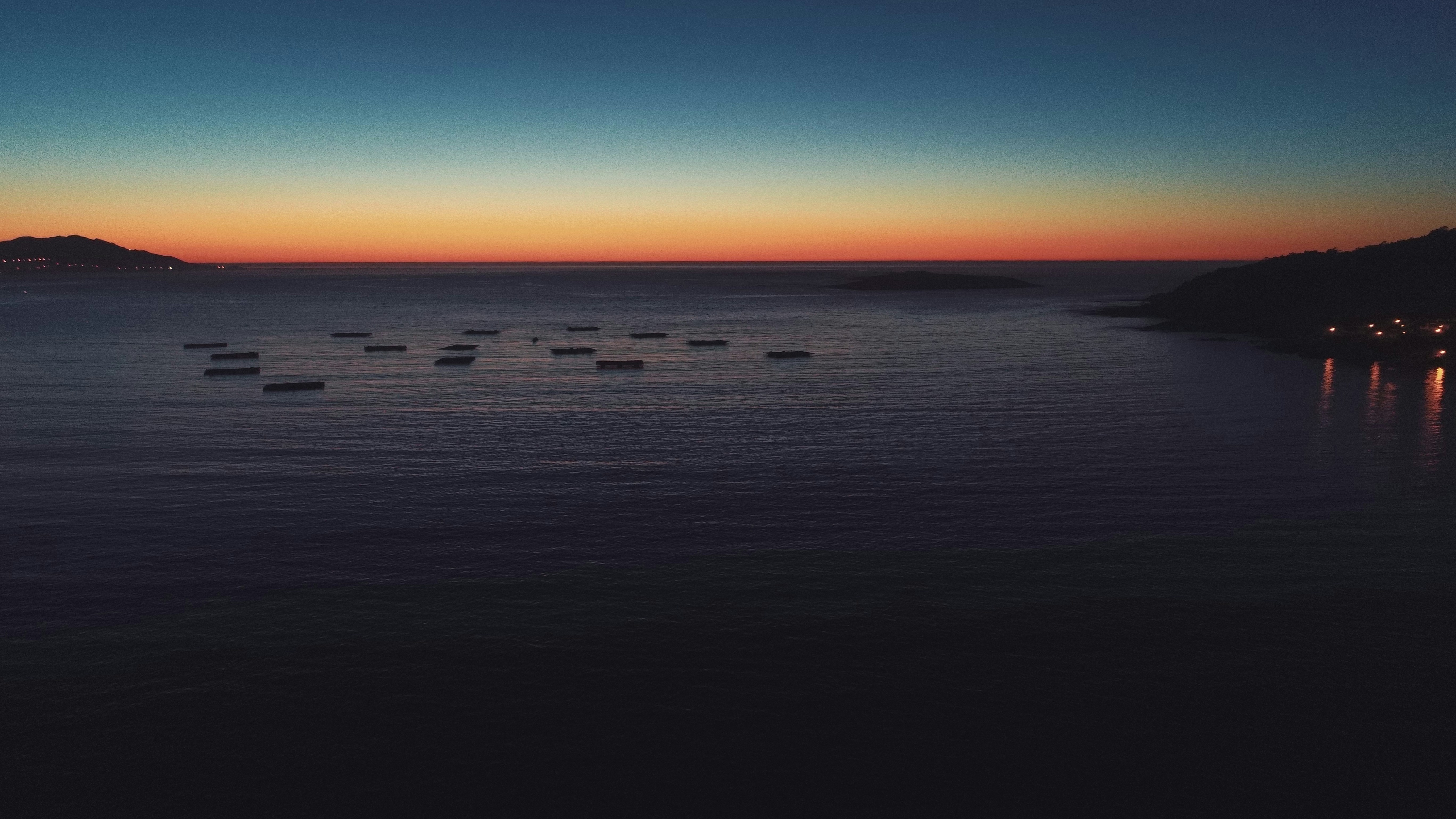 Mossland header image