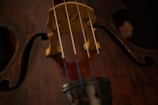 focus photography of brown and black string instrument