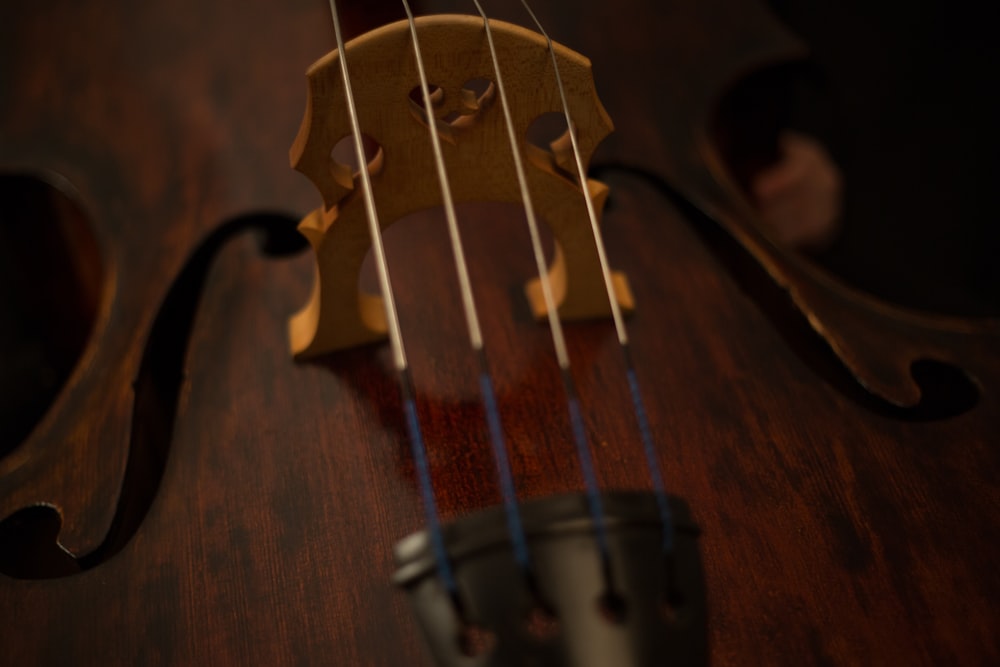 focus photography of brown and black string instrument