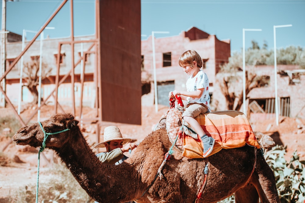 boy riding camel beside man
