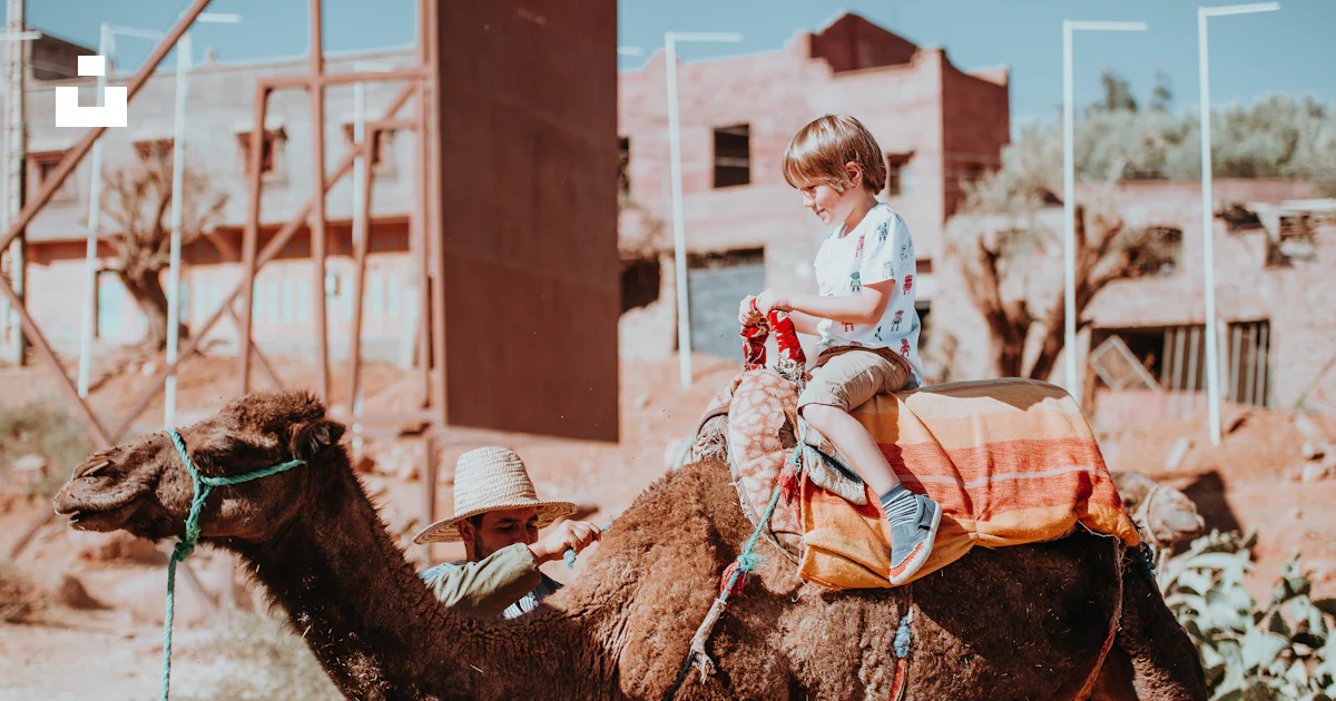 Boy Riding A Camel Boy riding camel beside man photo – Free Morocco Image on Unsplash
