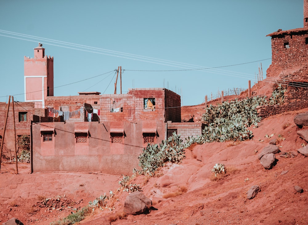 brown and white concrete building