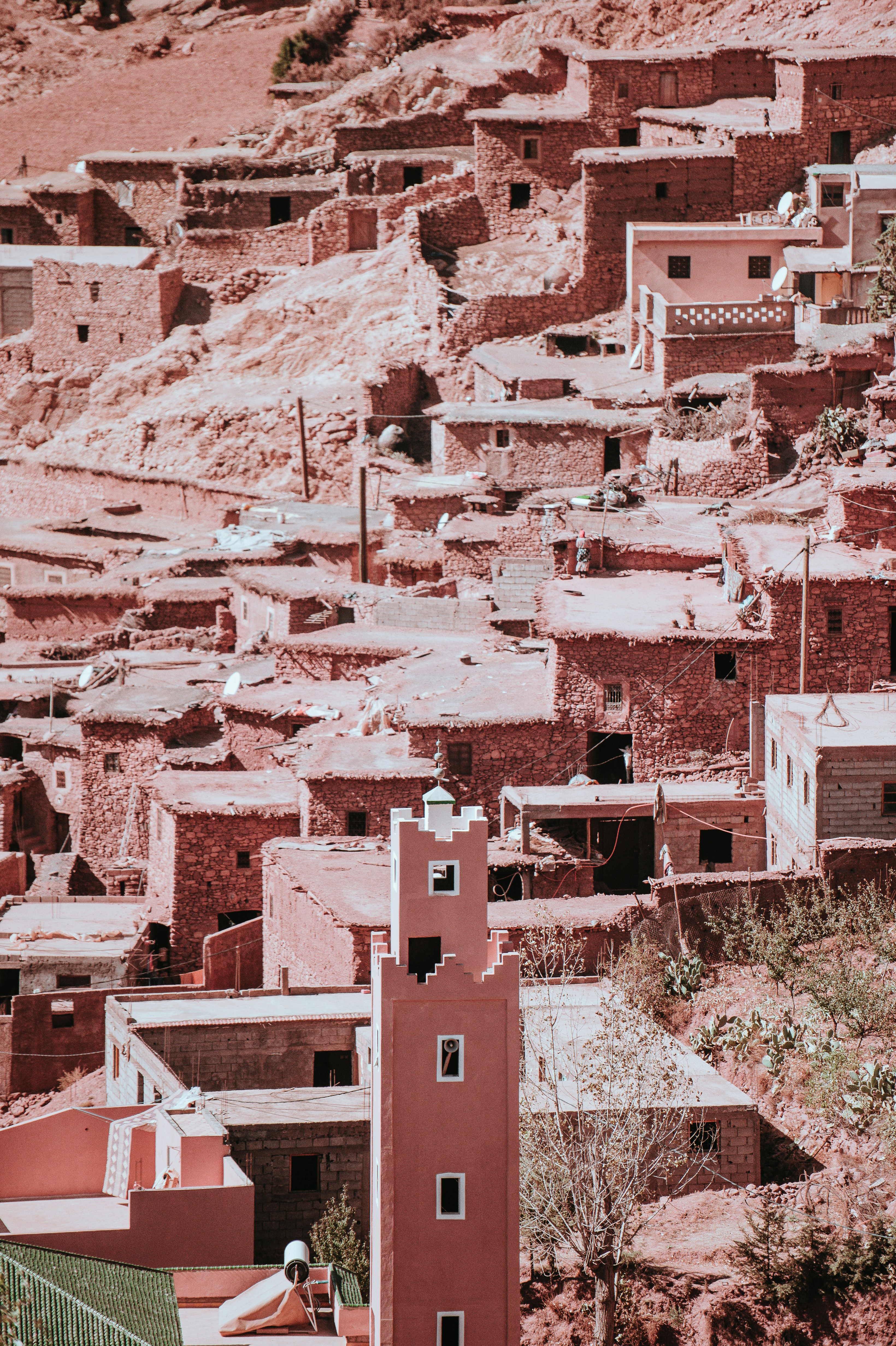 Photo by anniespratt