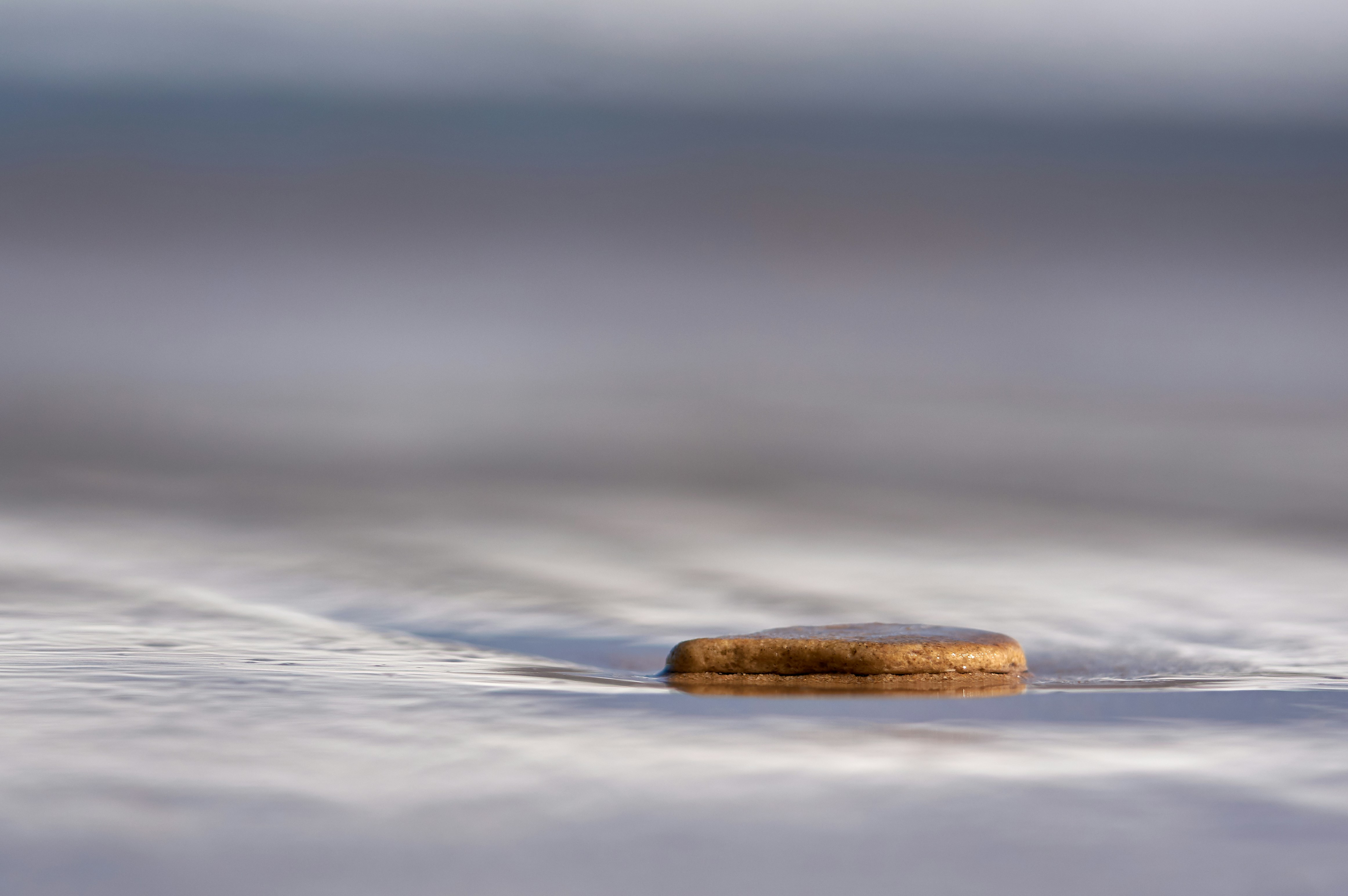 Photo by wolfgang_hasselmann