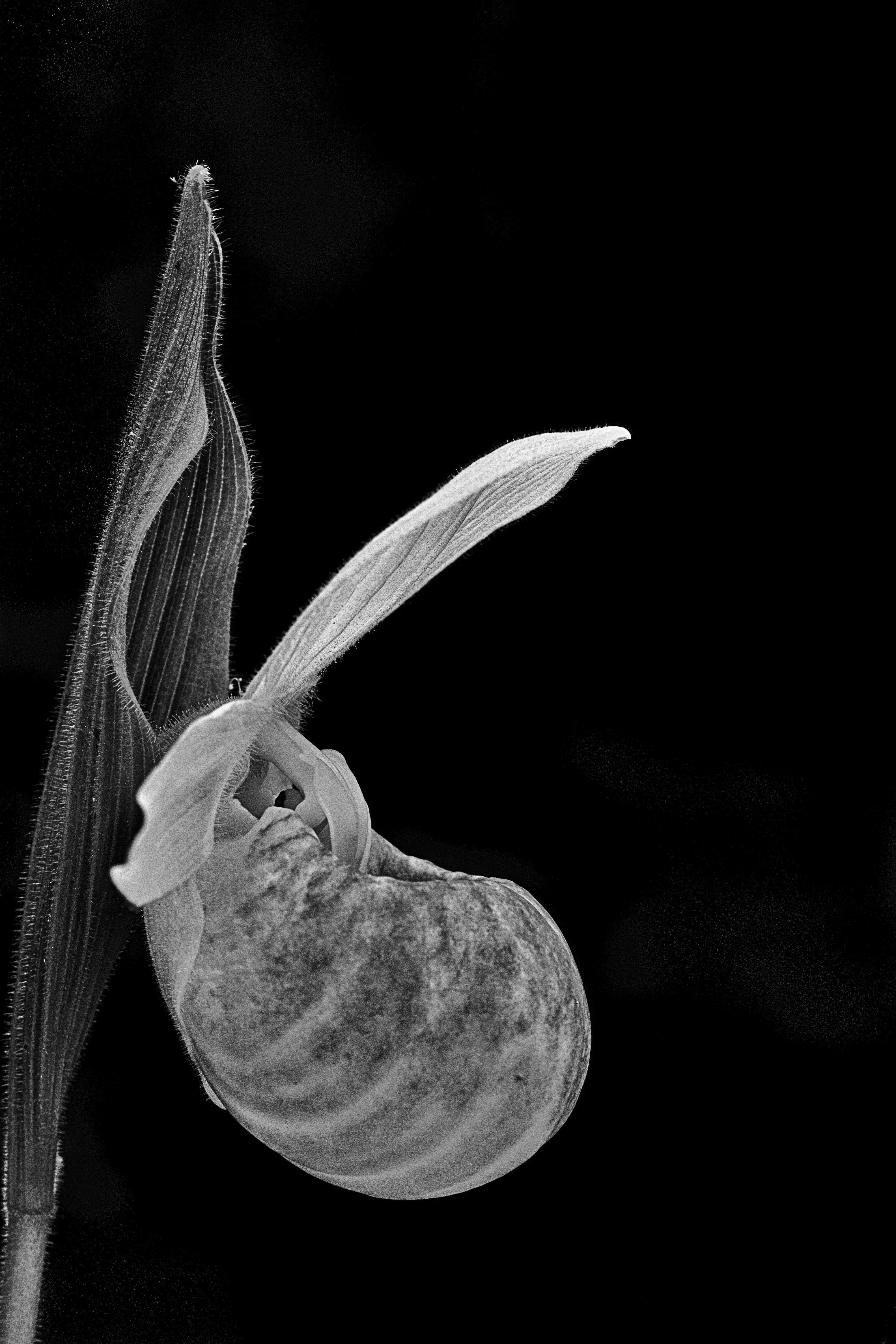 Photo by ronwhitaker