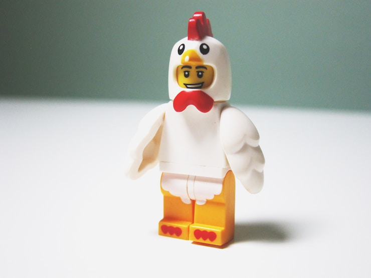 Just a chicken guy.