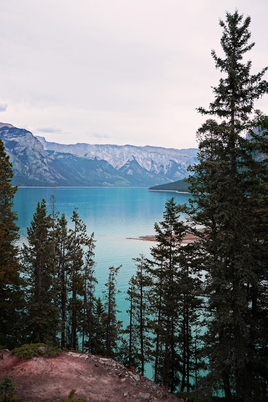 green leafed trees near body of water during daytime in Lake Minnewanka Canada