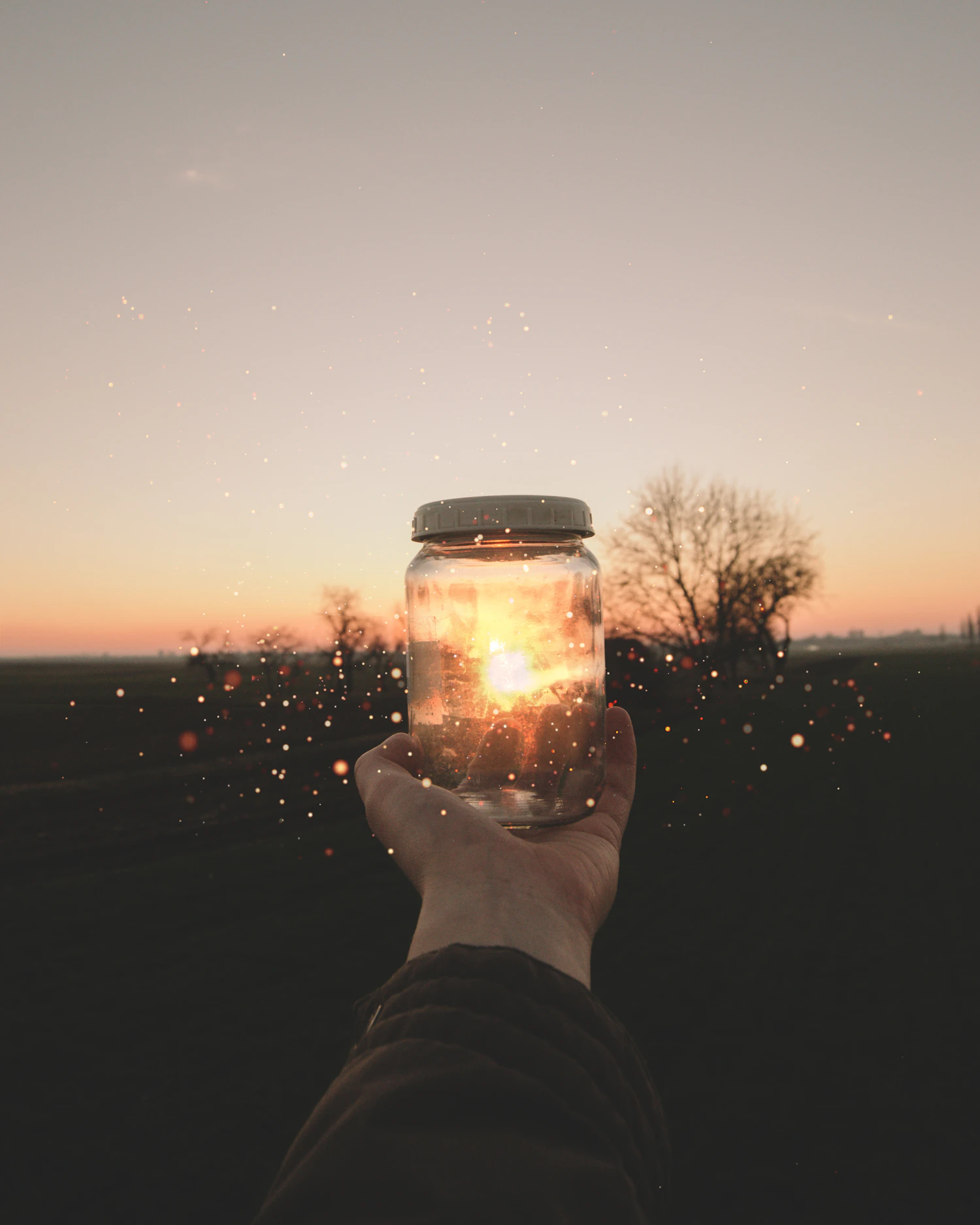 A hand holding a glowing jar of honey up against a dusk sky